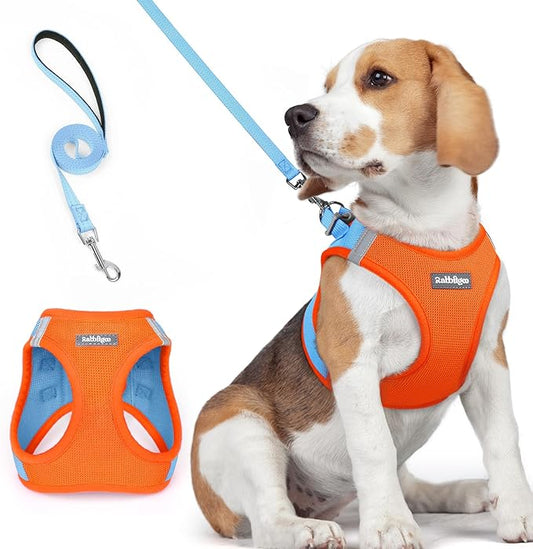 rabbitgoo Dog Harness Small Medium Sized and Leash Set, Step in Soft Light Puppy Vest, Breathable Mesh Pet Harness, Reflective for Safe Easy Walking, Blue & Orange L