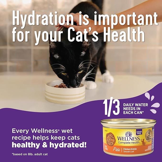 Wellness Complete Health Pate Adult Wet Cat Food, Natural, Protein-Rich, Grain-Free, 3 Ounce, 24 Pack, (Chicken & Turkey Variety Pack)
