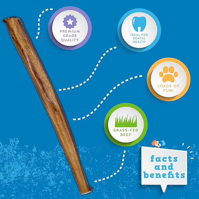 Jack&Pup 12 Inch Bully Sticks for Large Dogs (3 Pack) Jumbo Dog Chews for Aggressive Chewers | All Natural, Odor Free Bully Sticks for Dogs