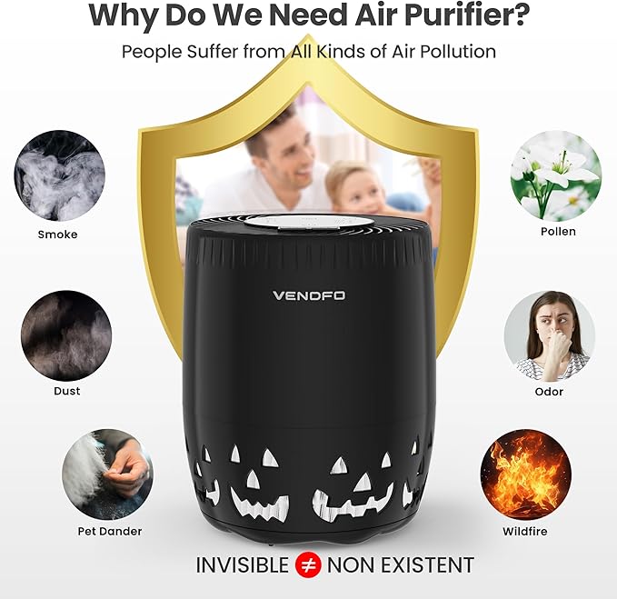 Air Purifiers for Home Bedroom up to 1076ft², True HEPA Air Filters Dust Pets Smoke Hair, 3 Fan Speeds Quiet, Timer Settings, Rechargeable Air Cleaner Office, Bedroom, Pets, Car(Black)