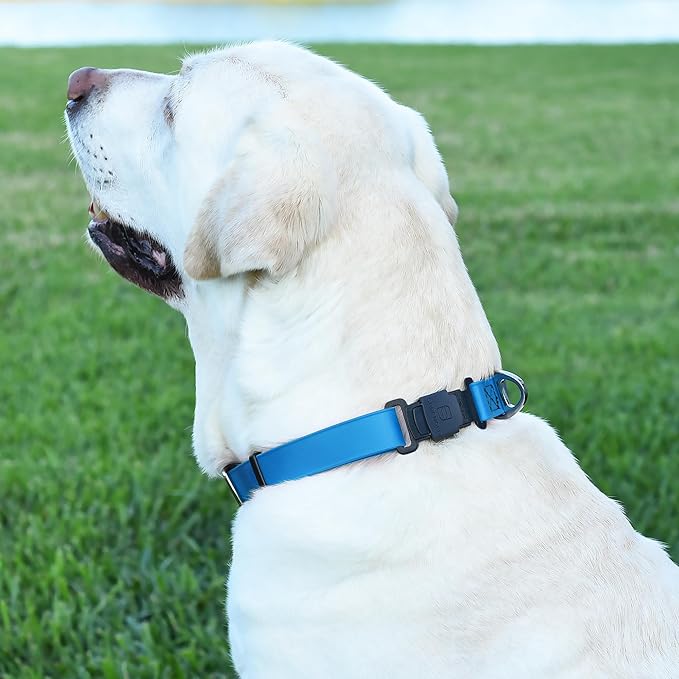 Dogline Biothane Waterproof Dog Collar with Herm Sprenger Black Stainless Steel Quick Release Buckle – Heavy Duty Tactical Durable Collar for Dogs – Comfortable and Safe Pet Collar W 1" L 15-25" Blue