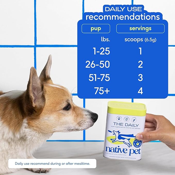 Native Pet The Daily Dog Supplement (30 Scoops) & Salmon Oil for Dogs & Cats (8 Oz) - 11 in 1 Multivitamin & Pure Omega-3 Fish Oil Supplement for Skin & Coat, Joint, Heart Health & Anti-Inflammatory