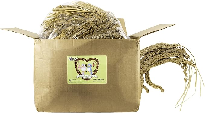 Birds LOVE French Kissed Spray Millet for Birds - Parakeets, Cockatiels, Lovebirds, Finches, Budgies, Canaries, Cockatoos - Natural & Healthy Bird Millet - Parakeet Food & Treats for all Parrots 25lbs
