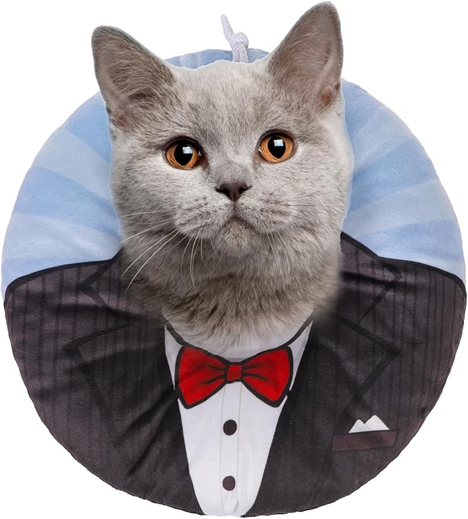 BEAUTYZOO Cat Cone Collar Soft, Cat Recovery E Collars After Surgery to Stop Licking, Adjustable Elizabeth Circle Collar Cute Pet Donut Pillow for Cats Kitten Puppy Small Dogs, Black Suit M