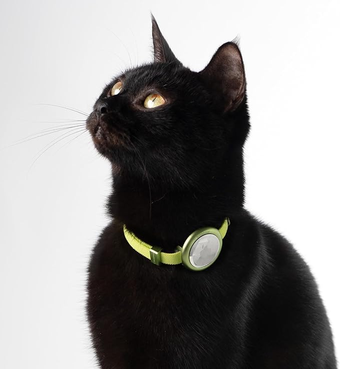 Safety Cat Collar Pro - U.S. IDA Gold Awarding Design, Elastic Quick Release Cat Collar with Buckle Non Breakaway - Lightweight for Kitten All Small Large Cats (Space Gray, S 5.9-11.8")