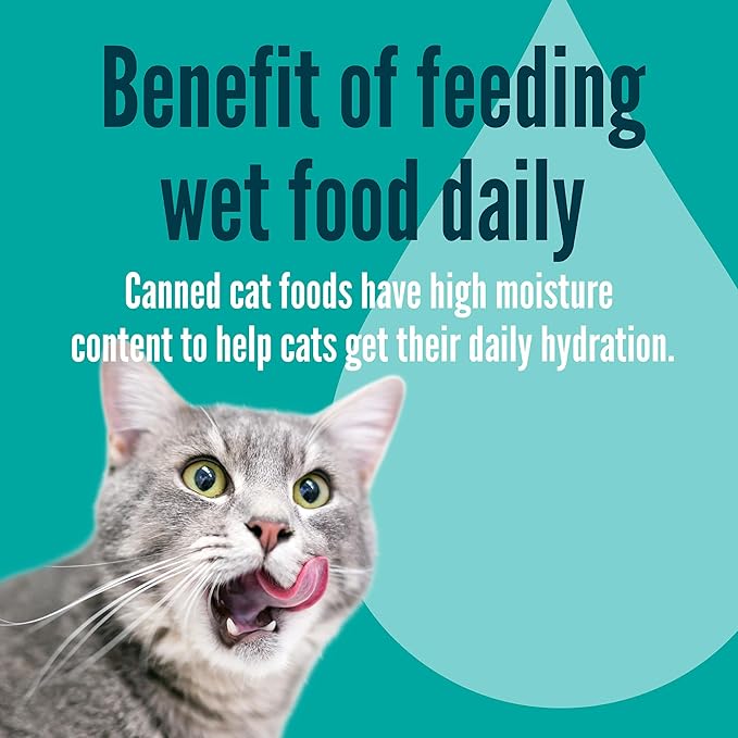 A Strong Heart Canned Wet Cat Food, Special Supper Dinner - 13.2 oz Cans (Pack of 12), Made in The USA with Real Turkey & Fish