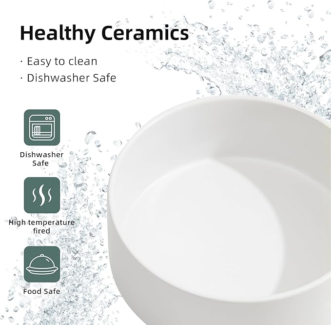 Ceramic Raised Double Bowls Set with Stand, 2 Heights Elevated, Food & Water Bowls for Small Breed Dogs, Weighted Dog Dishes, Pet Bowl(6.1'',28.7oz, White)