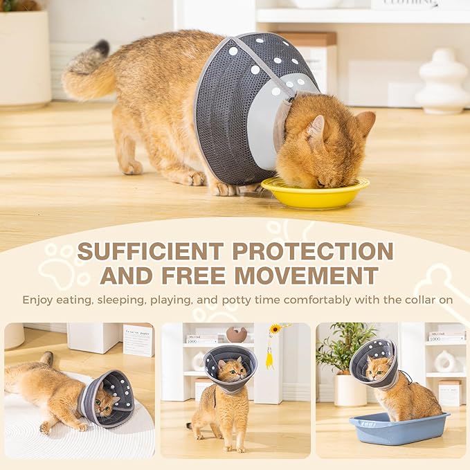 Avont Cat Cone Collar Soft to Stop Licking, Adjustable Foldable Lightweight Kitten Recovery Collar After Surgery for Small Dogs, Elizabeth Cone of Shame Alternative -Darkgrey(L)