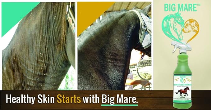 All Purpose Horse Skin & Wound Care 32oz | First Aid: for Girth Itch, Insect & Fly Bites, Crud, Itchy Manes & Tails & Hair Loss | Vet Approved & Recommended