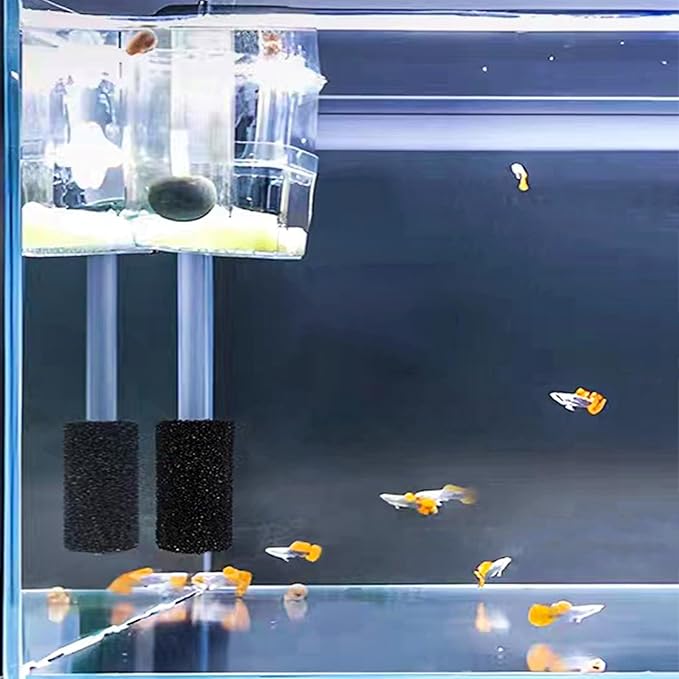 6X Pre-Filter Sponge for Aquarium Shrimp Fry Fish Tank Filter Pump Prefilter Sponge Replacement Foam Cover 2.4 X 1.4 Inch with 0.4" Hole Diameter