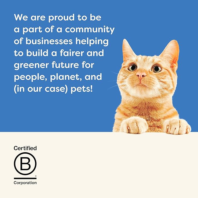 Applaws Natural Wet Kitten Food in Broth, Limited Ingredient Canned Wet Kitten Food, No Additives, Made with Natural Ingredients, Tuna Fillet in Broth (24 x 2.47oz Cans)