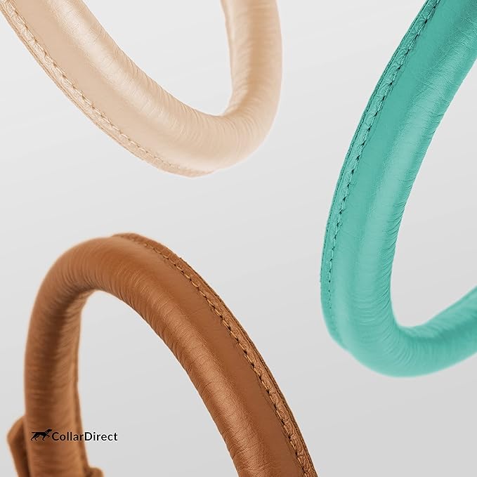 CollarDirect Rolled Leather Dog Collar, Soft Padded Round Puppy Collar, Handmade Genuine Leather Collar Dog Small Large Cat Collars 13 Colors (11-14 Inch, Mint Green Textured)
