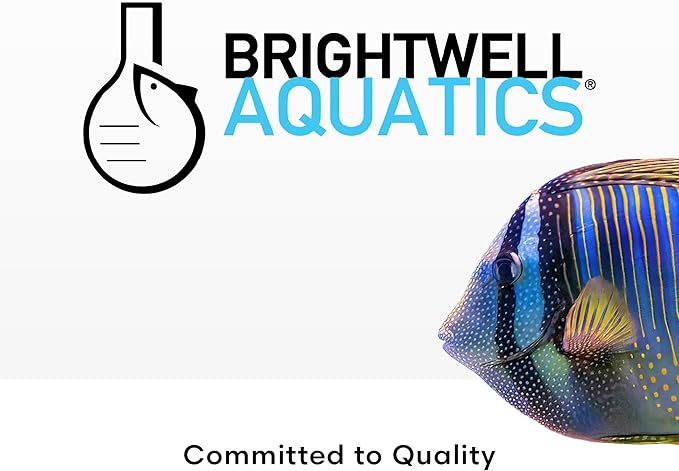 Brightwell Aquatics Rēplenish – Premium Trace & Minor Element Supplement for Marine Aquariums, Supports Healthy Fish, Corals, and Invertebrates, 20 L