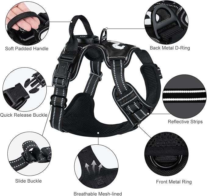 Taglory Light Up Dog Harness, Rechargeable No Pull Dog Vest with 3 Lightning Modes, Reflective Dog Harness with 2 Leash Clips & 4 Adjustable Slide Strips for Large Dogs, Black-Blue, L