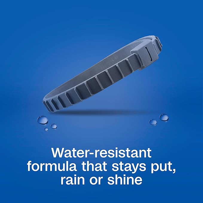 Adams Flea & Tick Collar Plus for Dogs & Puppies |2 Pack |12-Month Protection |One Size Fits All Dogs & Puppies 12 Weeks and Older |Kills Fleas and Ticks |Repels Mosquitoes (excluding California)