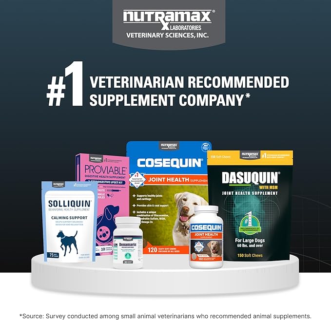 Nutramax Laboratories Dasuquin with MSM Soft Chews, Large Dog, 150 Count, brown