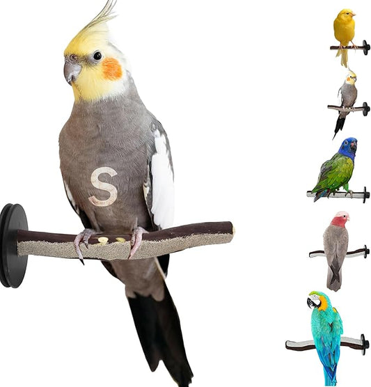 Superoost Manzanita Pumice Pedicure Perch- Easy to Install Bird Cage Accessories for Healthy Feet, Nails and Beak - Natural Bird Perches Imitates Birds' Life in The Wild - S 8"