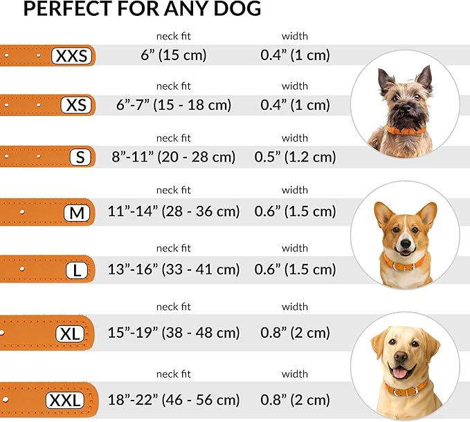 CollarDirect Rolled Leather Dog Collar, Soft Padded Round Puppy Collar, Handmade Genuine Leather Collar Dog Small Large Cat Collars 13 Colors (15-19 Inch, Orange Smooth)