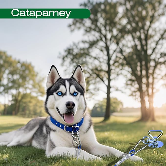 Dog Tie Out Cable and Stake,with 45FT Heavy Duty Cable,360° Swivel Dog Run Stake-No Tangle-Runner for Yard-Suitable for Large Dogs Up to 150 lbs-for Outdoor Camping
