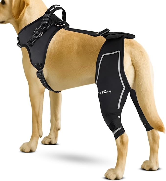 Comfortable Dog Knee Brace for Both Hind Legs with Harness - for ACL Tear, Luxating Patellae, Osteoarthritis & Instability - for Recovery & Injury Prevention in Active/Aging Dogs - (Small)