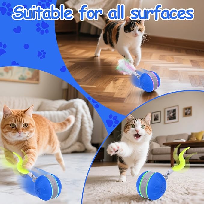 AIERSA Interactive Cat Toys for Indoor Adult Cats, Automatic Self-Play Cat Ball Toy for Kitten to Keep Them Busy, Electric Moving Chase Toy (Blue)