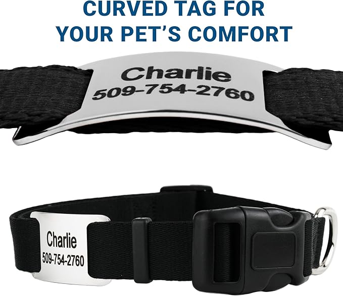 GoTags Personalized Dog Collar with Nameplate, Adjustable Dog Collar with Custom Engraved Slide On Pet ID Tag in Stainless Steel, Silent, No Noise Dog Tag (Charcoal, Small)
