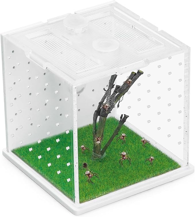 Acrylic Jumping Spider Enclosure, 2.95×2.95×2.87in Transparent Reptile Terrarium, Versatile Tarantula Enclosure for Small Reptiles/Insects, Small Reptile Tank with Dropper, Jumping Spider Accessories