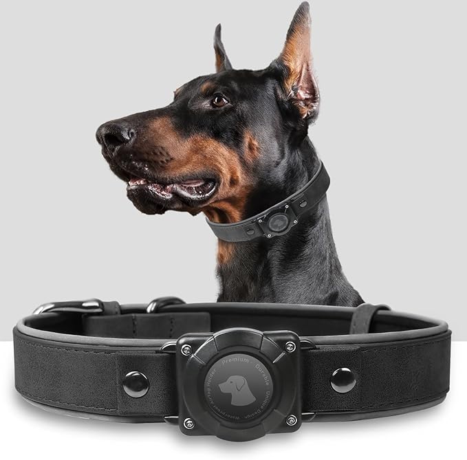 AirTag Dog Collar - Leather Dog Collar with Air Tag Holder | IPX8 Waterproof, Reflective, High - End, Adjustable Soft Padded | Dog GPS Tracker Collars Fit for Medium Large Dogs (Black, M)