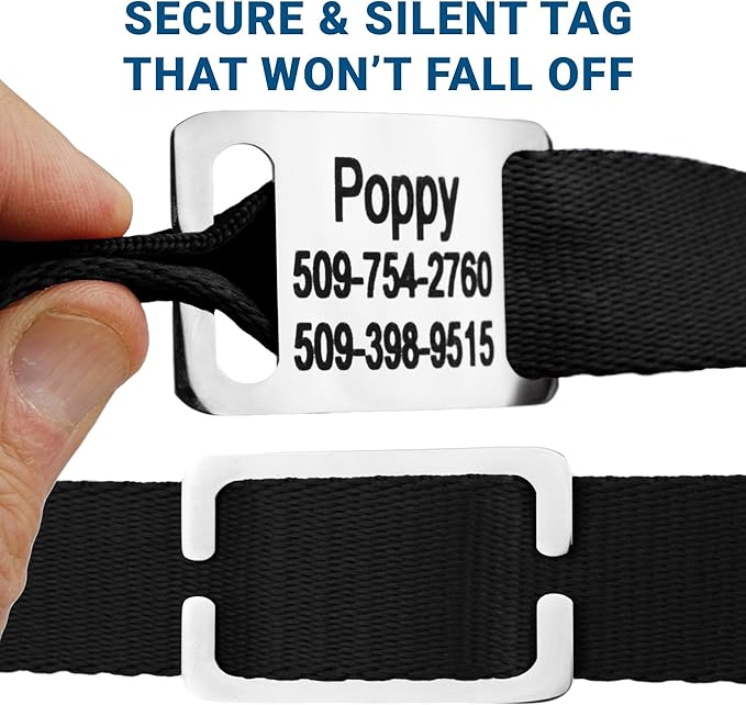 GoTags Reflective Personalized Dog Collar with Nameplate, Adjustable Dog Collar with Custom Engraved Steel Slide On Pet ID Tag, Silent, No Noise Dog Tag (Hunter Green, Medium)