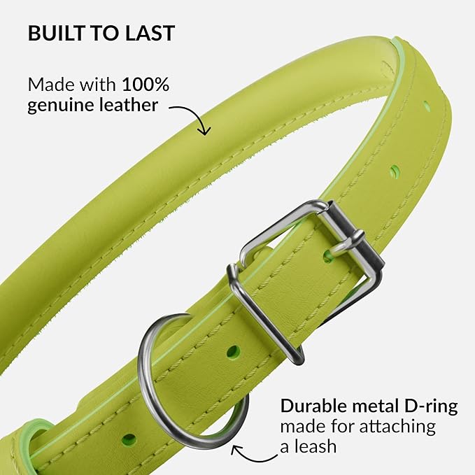 CollarDirect Rolled Leather Dog Collar, Soft Padded Round Puppy Collar, Handmade Genuine Leather Collar Dog Small Large Cat Collars 13 Colors (6-7 Inch, Lime Green Smooth)