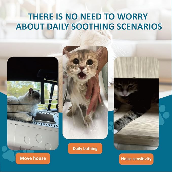 Cat Calming Treats - 100 Count Salmon Chews with Organic Chamomile & Ginger, Stress Relief Supplement for Separation Anxiety, Vet Visits & Thunderstorms (Salmon)