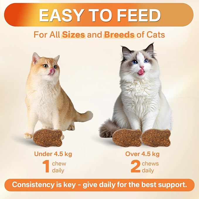 4-in-1 Flea Treatment for Cats Chewable, Natural Cat Flea and Tick Prevention Chewable Supplement for Skin & Coat | Immunity Support | Digestive | Flea & Tick Treatment for All Breeds & Sizes