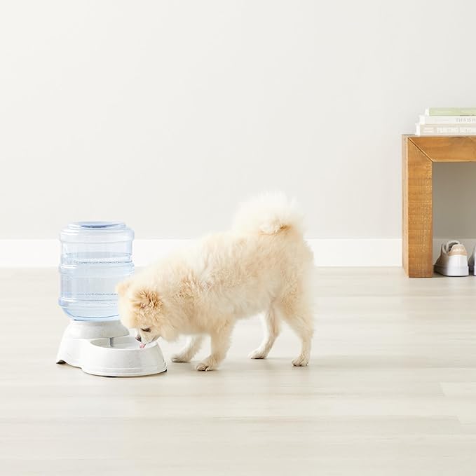 Amazon Basics Gravity Pet Water Dispenser for Cat, Dog, 1 gallon Capacity, Small, Gray