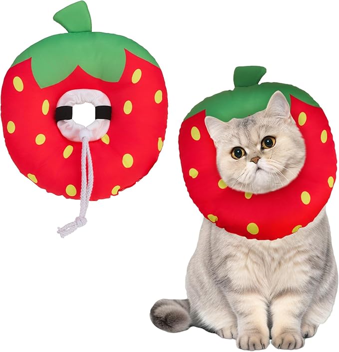 BINGPET Cat Cone Collar Soft,Waterproof Cat Recovery Collar to Stop Licking,Cute Donut Elizabethan e Collar for Cats Kittens Puppies Wound Healing After Surgery(Strawberry,Small)