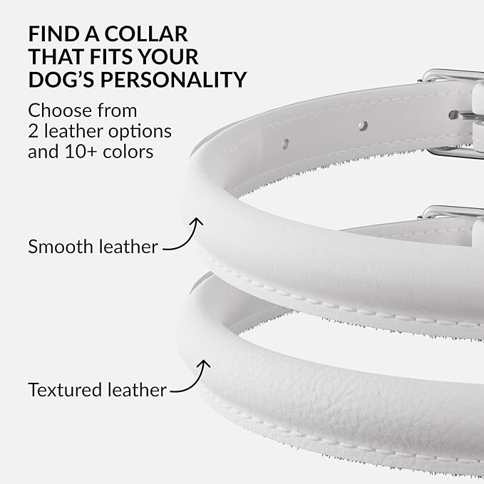 CollarDirect Rolled Leather Dog Collar, Soft Padded Round Puppy Collar, Handmade Genuine Leather Collar Dog Small Large Cat Collars 13 Colors (18-22 Inch, White Smooth)