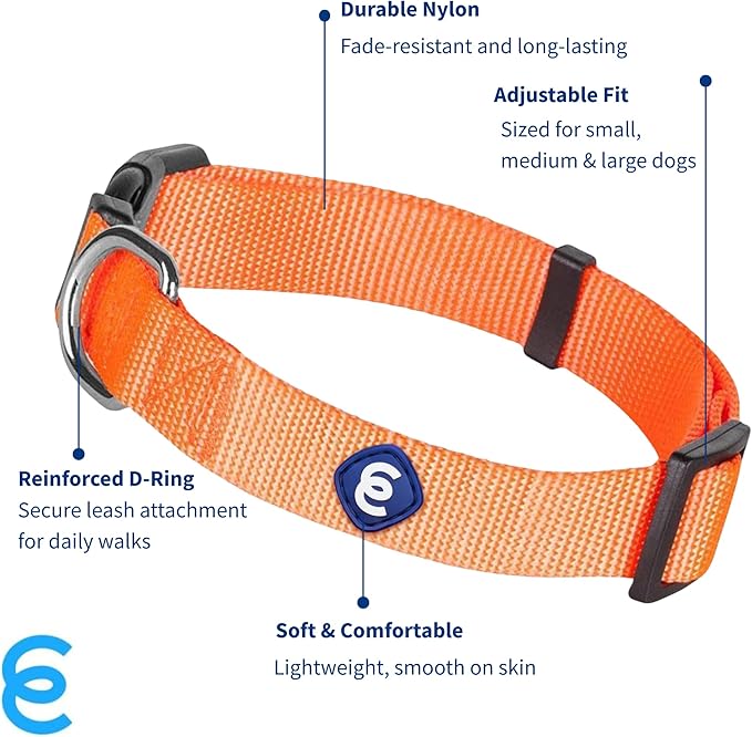 Blueberry Pet Essentials Florence Orange Adjustable Nylon Dog Collar for Large Dogs, Classic Solid Color Pet Safety & Style for Small Dogs