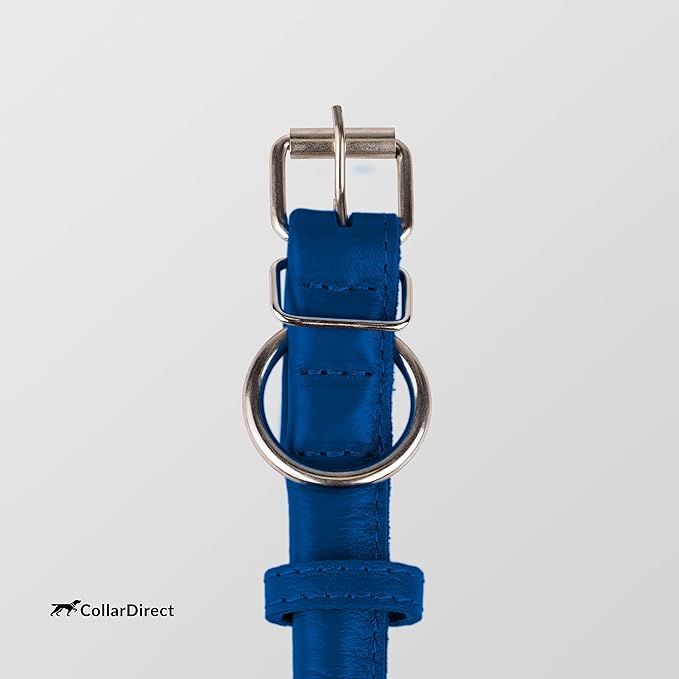CollarDirect Rolled Leather Dog Collar, Soft Padded Round Puppy Collar, Handmade Genuine Leather Collar Dog Small Large Cat Collars 13 Colors (13-16 Inch, Deep Blue Textured)