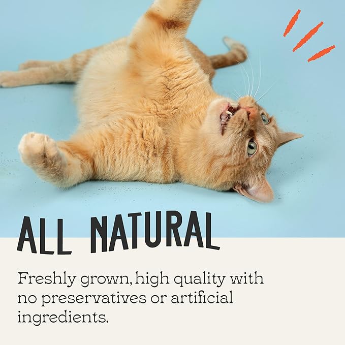 Catnip, All Natural Premium Catnip (8 oz Fine Cut)