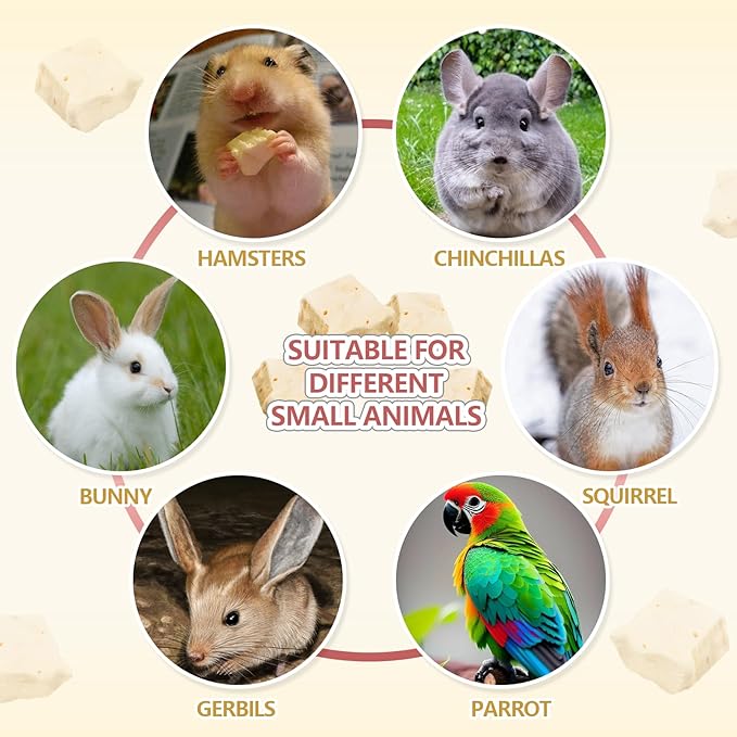 Abizoo Freeze Dried Tofu for Hamsters High Protein Low Fat & Balanced Minerals Grain Free Single Ingredient Natural Treats Enrichment Snacks for Rabbits, Guinea Pigs & Small Pets