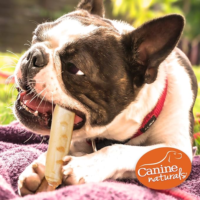 Canine Naturals Chicken Recipe Chew - Rawhide Free Dog Treats - Made from USA Raised Chicken - All-Natural and Easily Digestible - 5 Pack of 7 Inch Large Rolls for Dogs 50-75lb