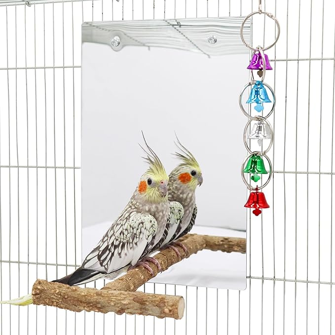 Bird Mirror Toy with Perch Stand, Parrot Parakeet Mirror with Bird Swing Bell Toys, Bird Cage Accessories, Suitable for Parakeet Cockatiel Conure Lovebirds - 7.9 × 6.3 Inch