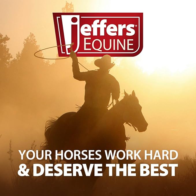 Jeffers Equine Mini Horse Halter – 3/4" Nylon Adjustable Halter for Miniature Horses, Ponies, Under 200 lbs – Heavy Duty Hardware, Secure Fit for Training, Turnout, Grooming, Travel – Black