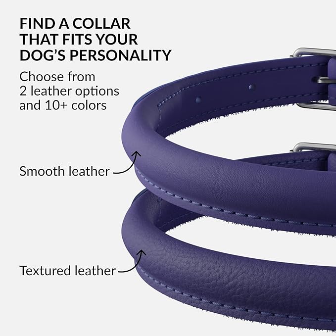 CollarDirect Rolled Leather Dog Collar, Soft Padded Round Puppy Collar, Handmade Genuine Leather Collar Dog Small Large Cat Collars 13 Colors (11-14 Inch, Purple Smooth)