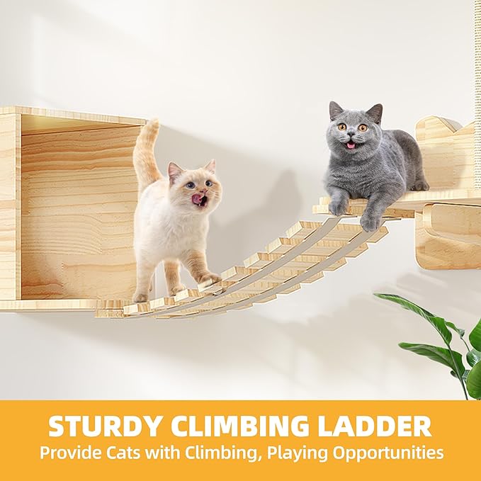 Cat Wall Shelves, Cat Wall Furniture Pine Wooden Feline Shelf, 5 Piece Shelves and Perches with Bed, House, Steps, Bridge Ladder and Scratching Post
