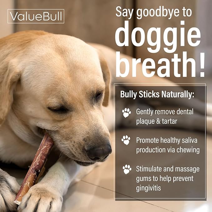 ValueBull Bully Sticks for Large Dogs, Jumbo 6 Inch, 25 Count - All Natural, Grass Fed, Single Ingredient, Long Lasting Dog Treats for Aggressive Chewers