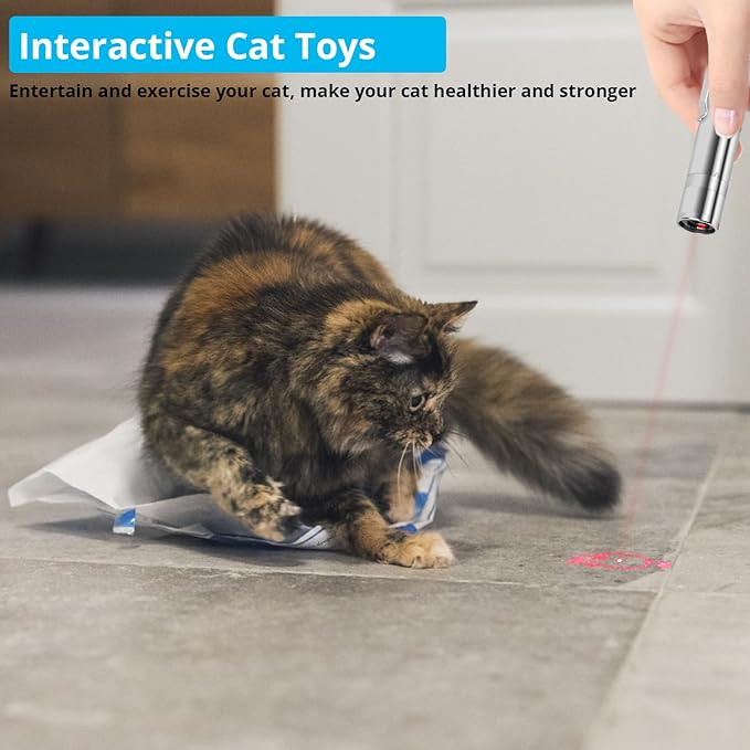 Cat Toy Pointer for Indoor Cats, USB Rechargeable Kitten Toys with 7 Adjustable Patterns, Interactive Chase Toys for Indoor Cats & Dogs, Training & Exercise Fun
