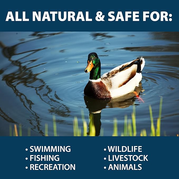 Airmax PondClear Packets, Beneficial Bacteria & Enzyme Clarifier Treatment with Ecoboost PRx, Clear & Clean Pond & Lake Water, Safe for Fish, 96 Count