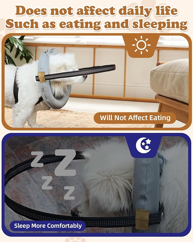 Blind Dog Harness, Lightweight Collar for Dogs&Cats, Adjustable Blind Dog Collar Harness, Pet Anti-Collision Ring for Blind, Eye Injury, Vision Impairment Pets for Protective & Build Confidence XXL