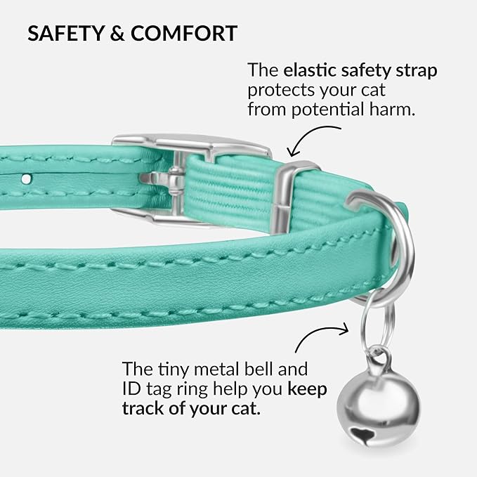 CollarDirect Leather Cat Collar with Bell - Kitten Collar, Small and Big Cat Collar for Boy Cats, Girl Cats with Safety Elastic Strap (Neck Fit 6"-7", Mint Green)