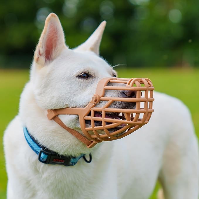 Baskerville Classic Basket Muzzle - Dog can Pant and Drink, Prevents Biting and Food Waste Scavenging, Strong TPR, Ideal for Longer Nosed Dogs, Breathable Dog Training Muzzle for Large Dogs (Size 10)